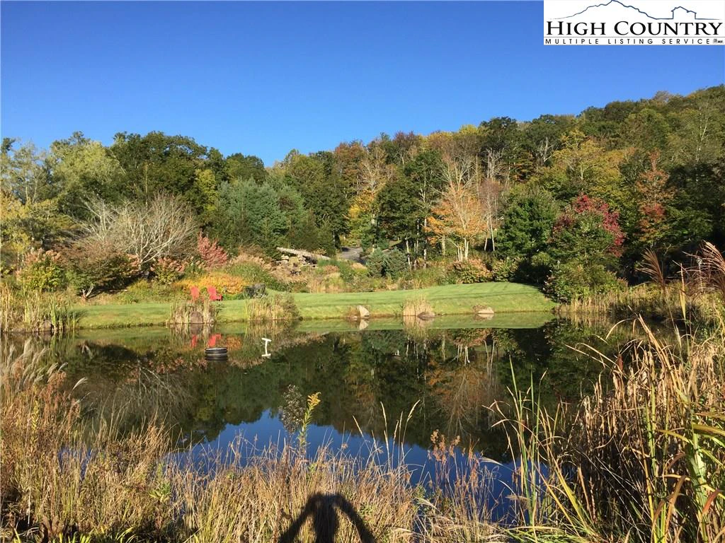 Image number 4 for the current listing