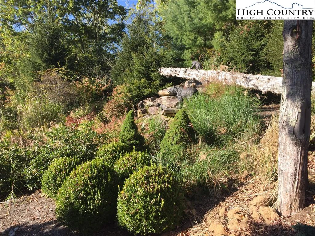 Image number 5 for the current listing