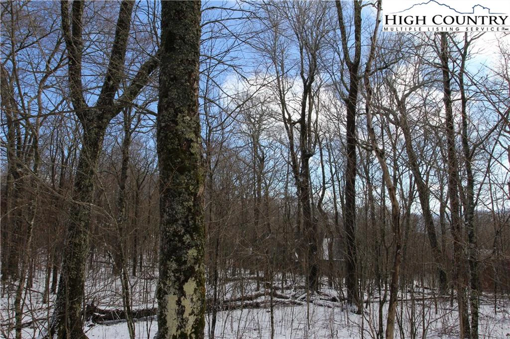 Image number 1 for the current listing