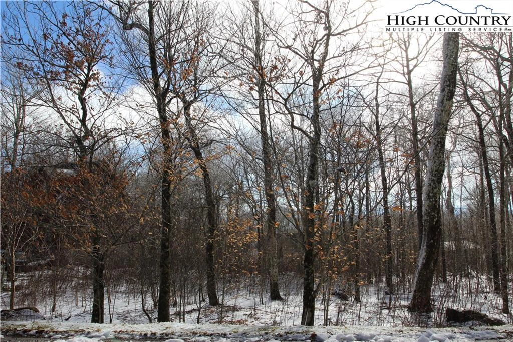 Image number 3 for the current listing