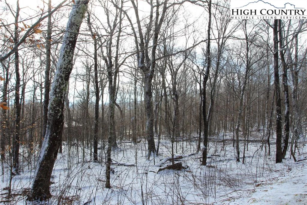 Image number 5 for the current listing