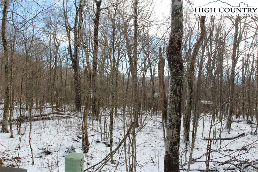 Image number 9 for the current listing