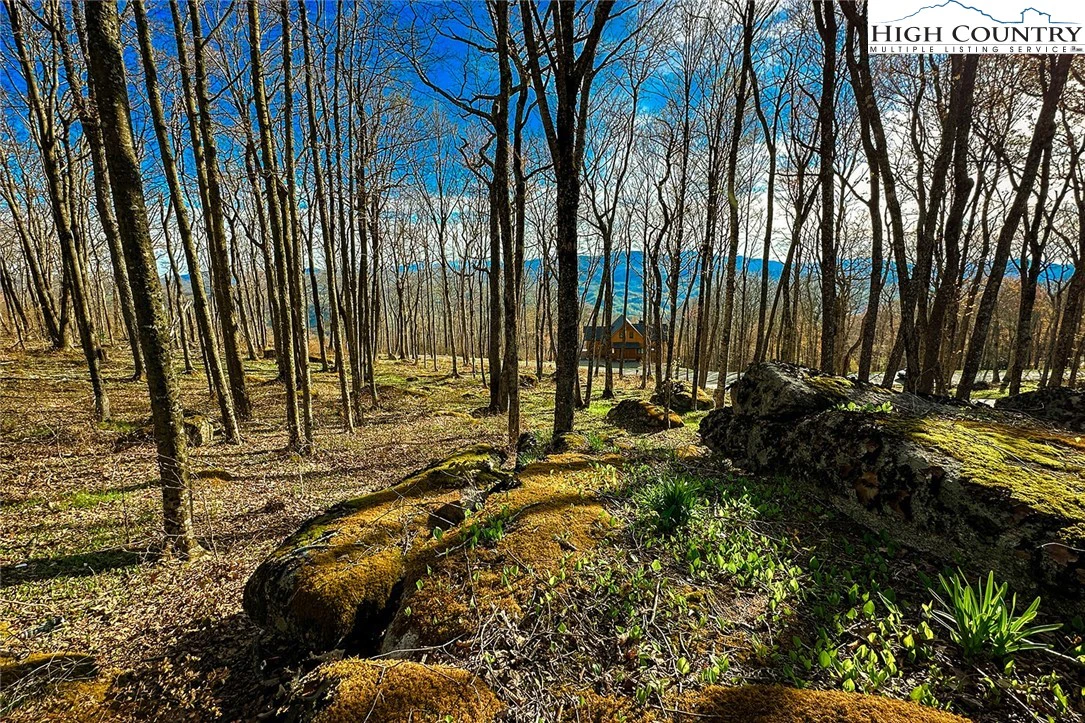 Image number 1 for the current listing