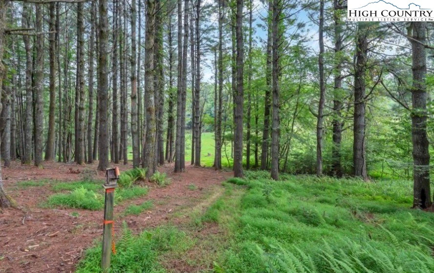 Image number 7 for the current listing