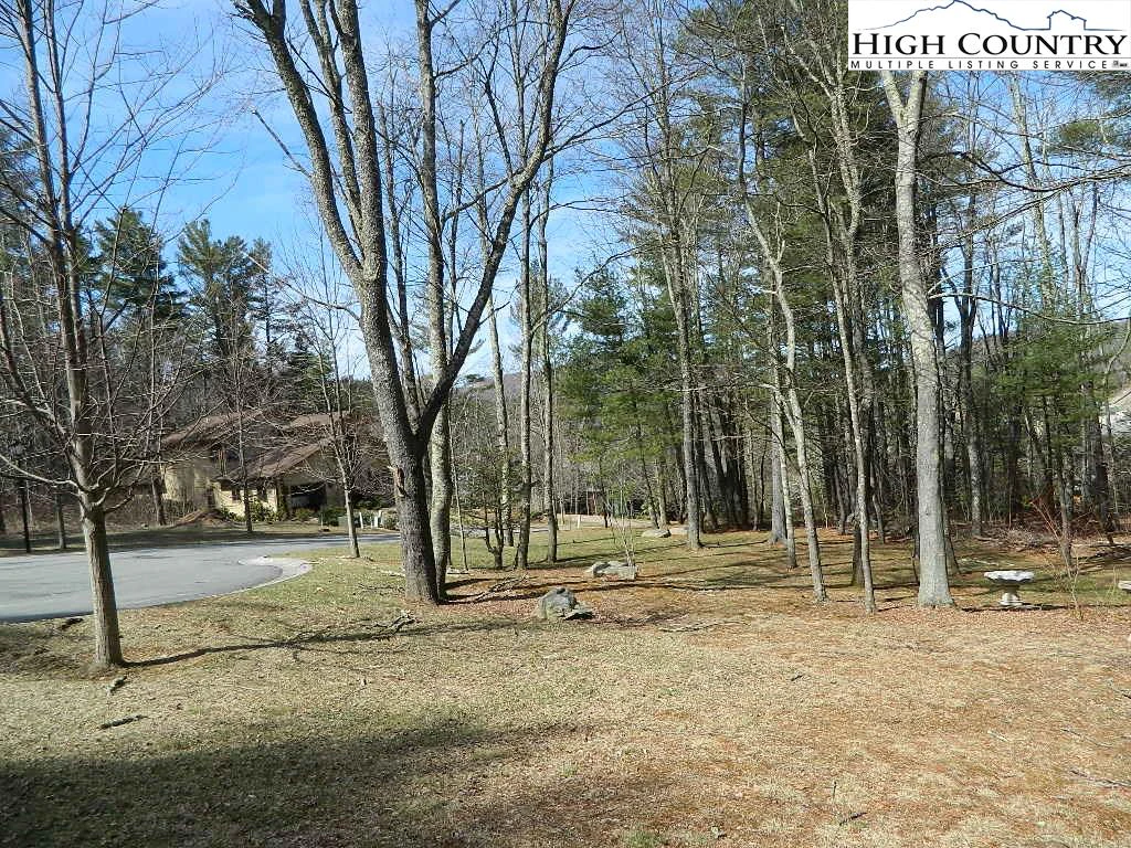 Image number 1 for the current listing