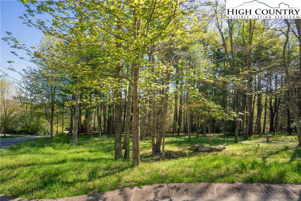 Image number 3 for the current listing