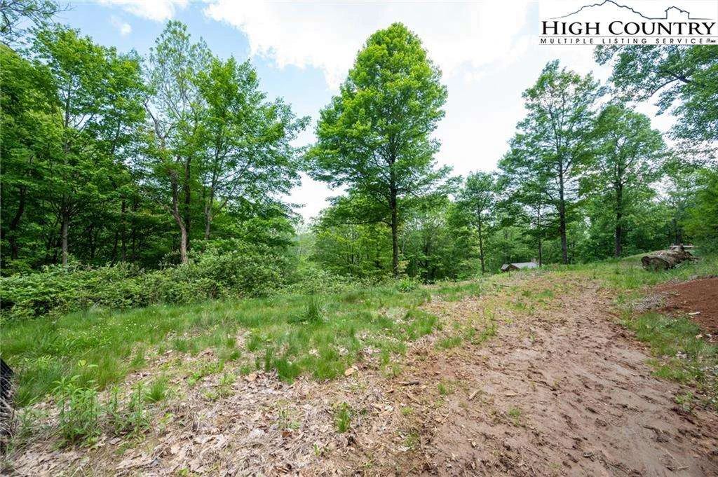 Image number 11 for the current listing