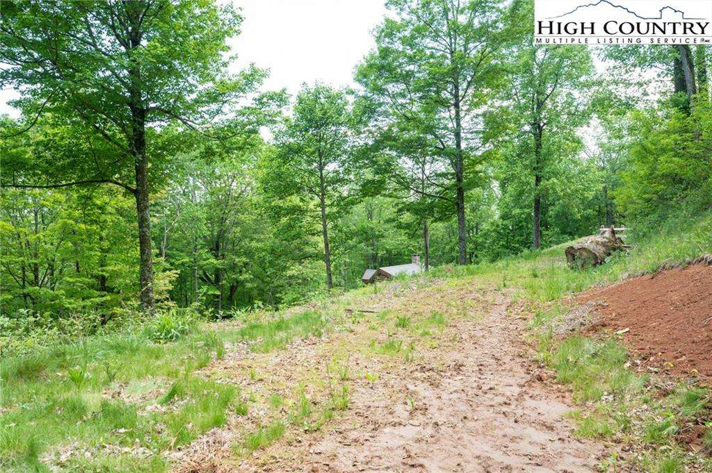 Image number 13 for the current listing