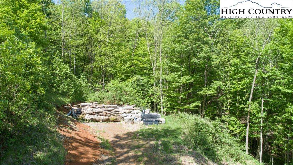 Image number 14 for the current listing