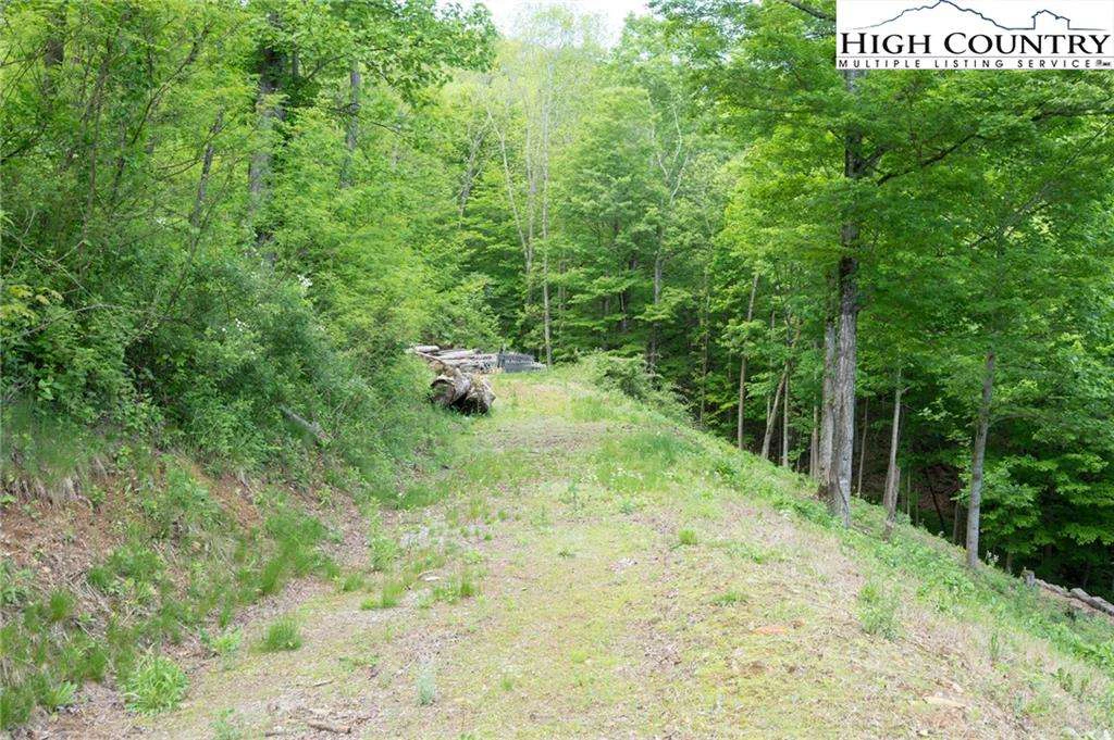 Image number 5 for the current listing