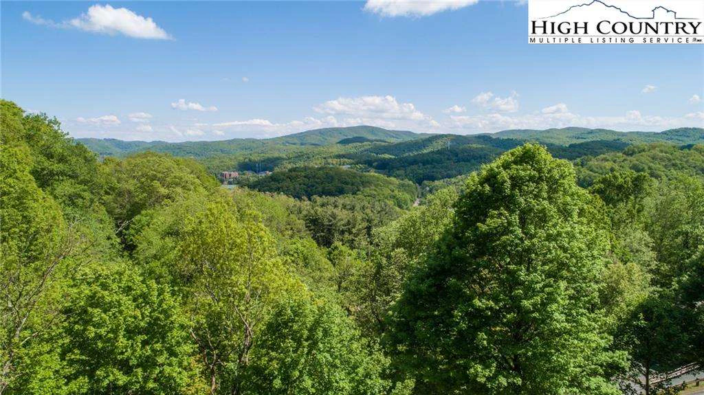 Image number 9 for the current listing