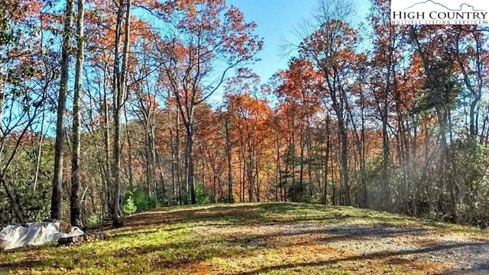 Image number 1 for the current listing