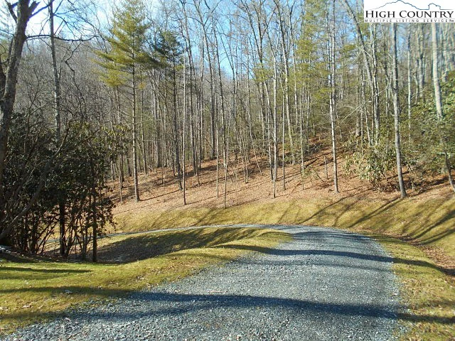 Image number 22 for the current listing