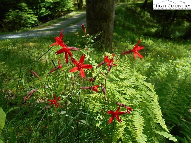 Image number 3 for the current listing