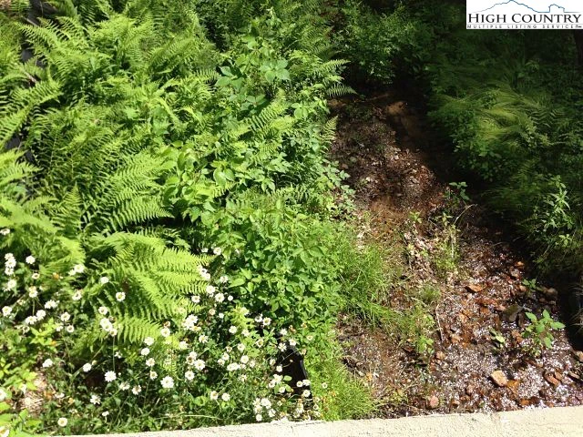 Image number 5 for the current listing