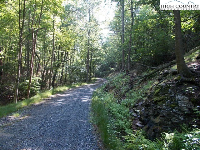 Image number 6 for the current listing