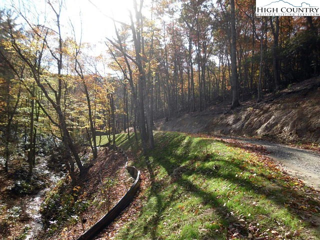 Image number 7 for the current listing