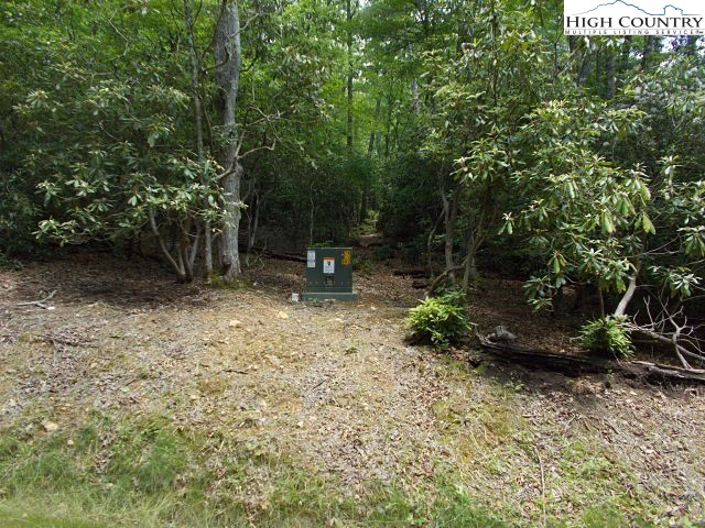 Image number 8 for the current listing