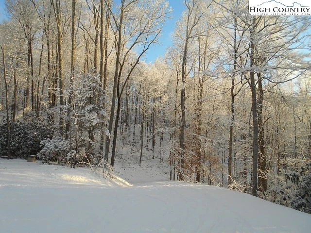 Image number 15 for the current listing