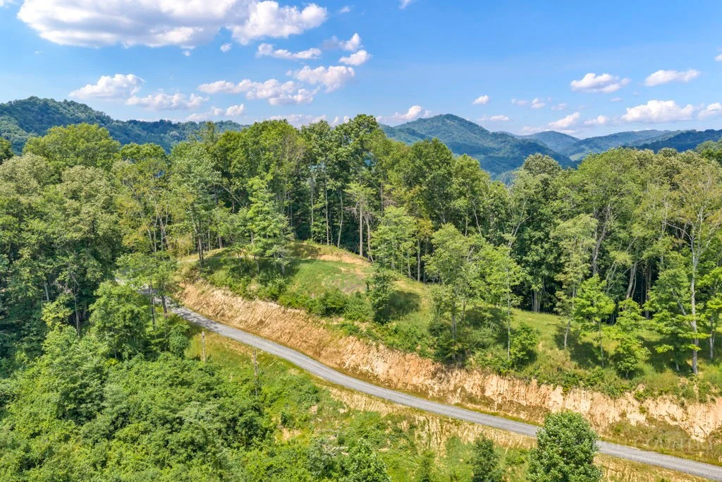 Image number 6 for the current listing