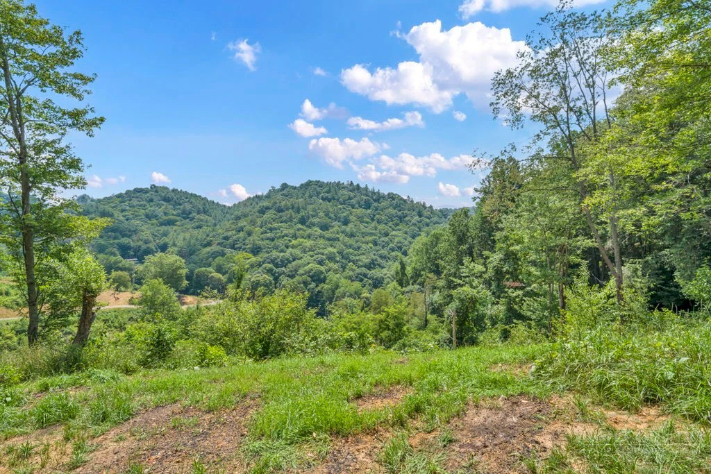 Image number 9 for the current listing