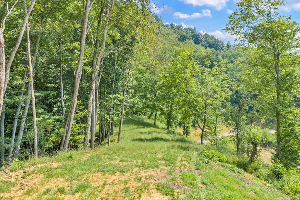 Image number 11 for the current listing