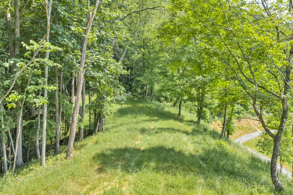 Image number 2 for the current listing