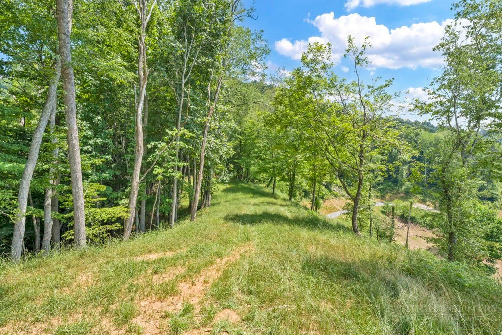 Image number 13 for the current listing