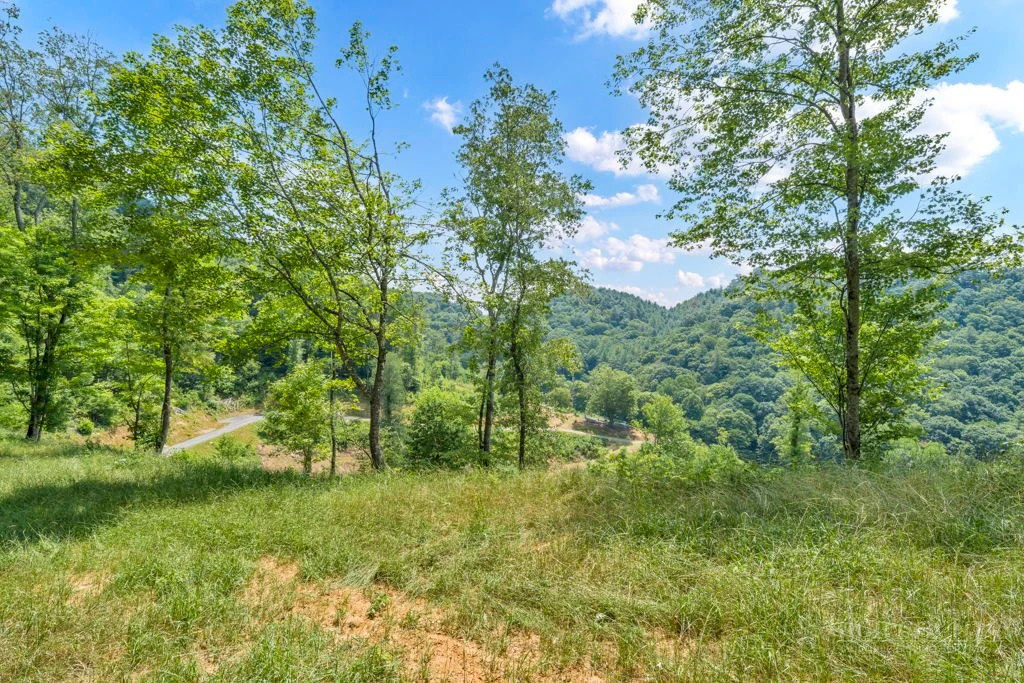 Image number 14 for the current listing