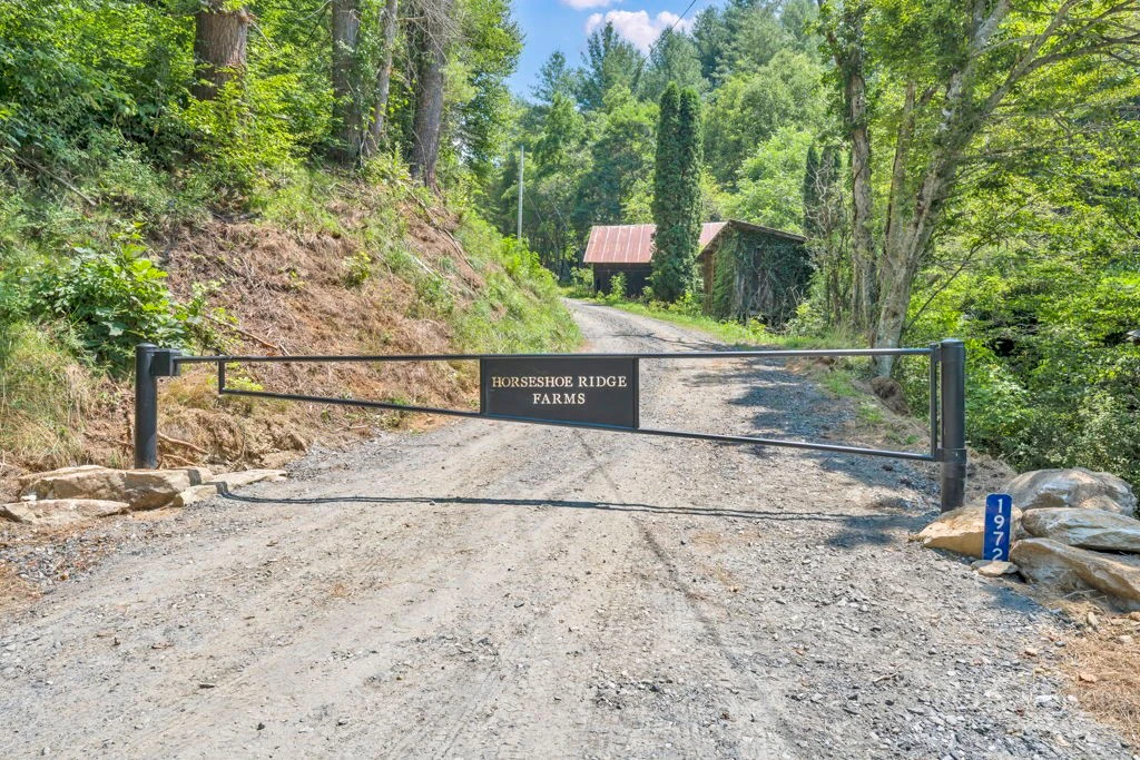 Image number 3 for the current listing