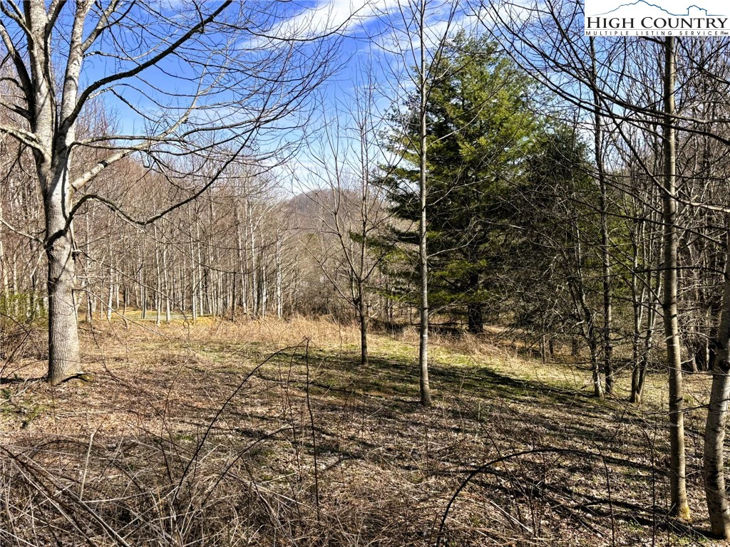 Image number 1 for the current listing