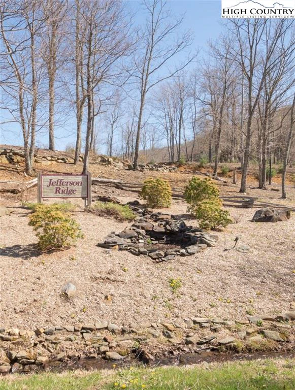 Image number 1 for the current listing