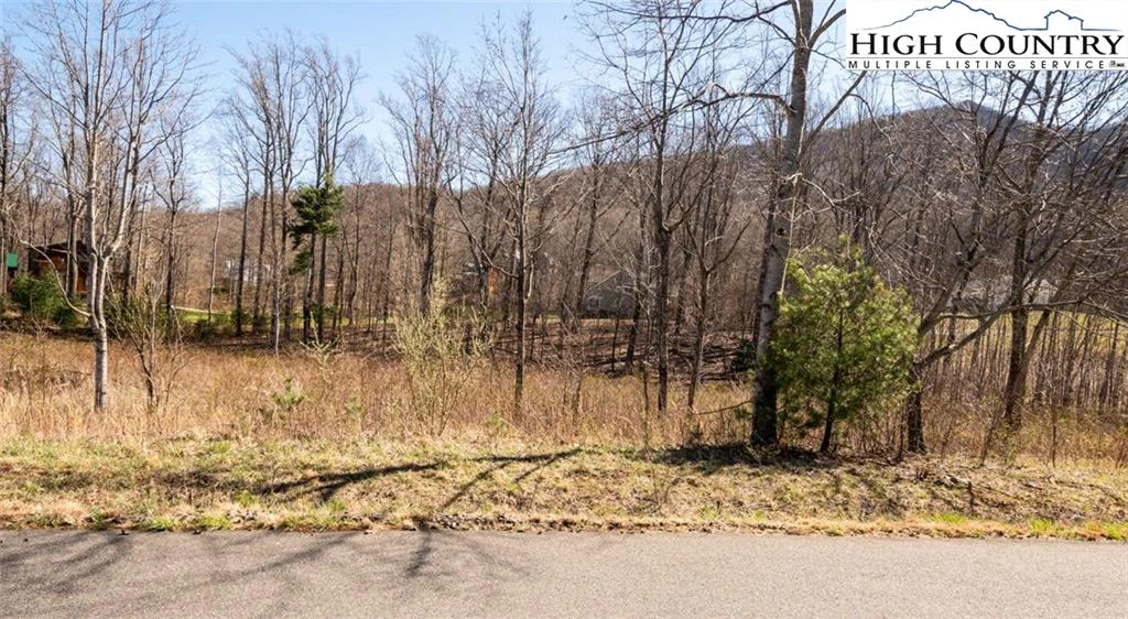 Image number 3 for the current listing