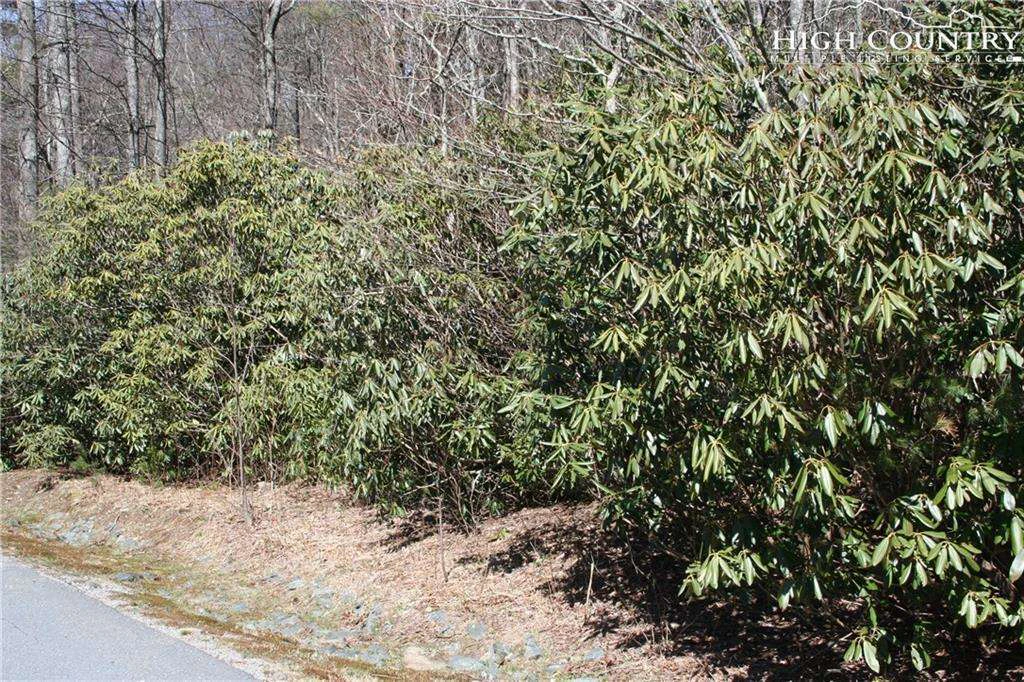 Image number 3 for the current listing