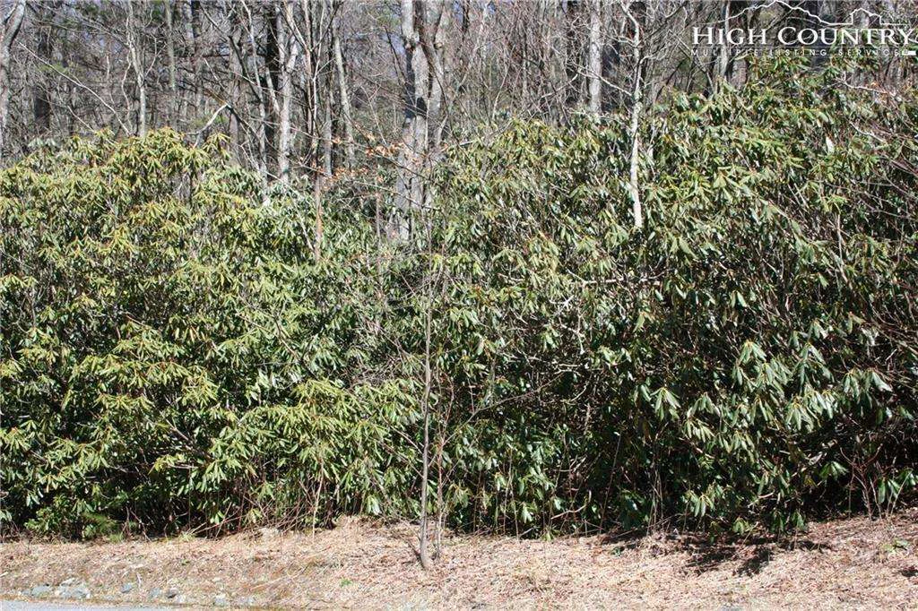 Image number 6 for the current listing