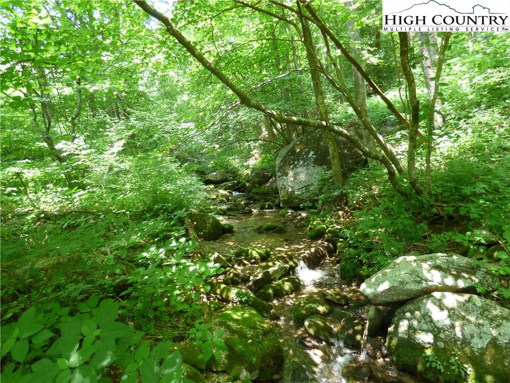 Image number 1 for the current listing