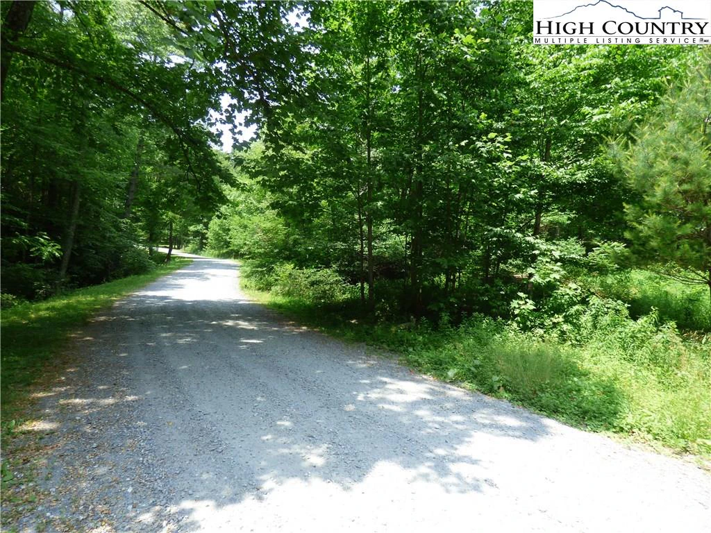 Image number 3 for the current listing