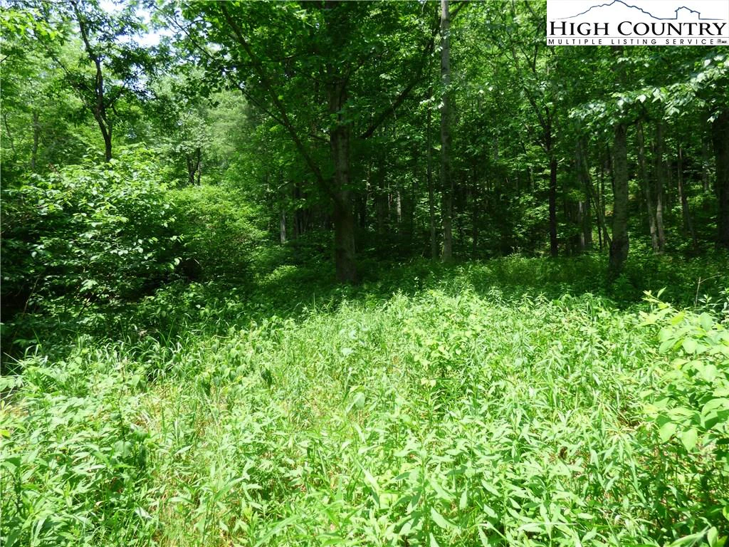 Image number 4 for the current listing