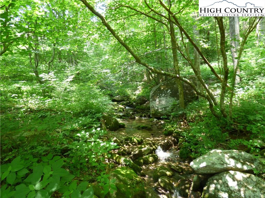 Image number 5 for the current listing