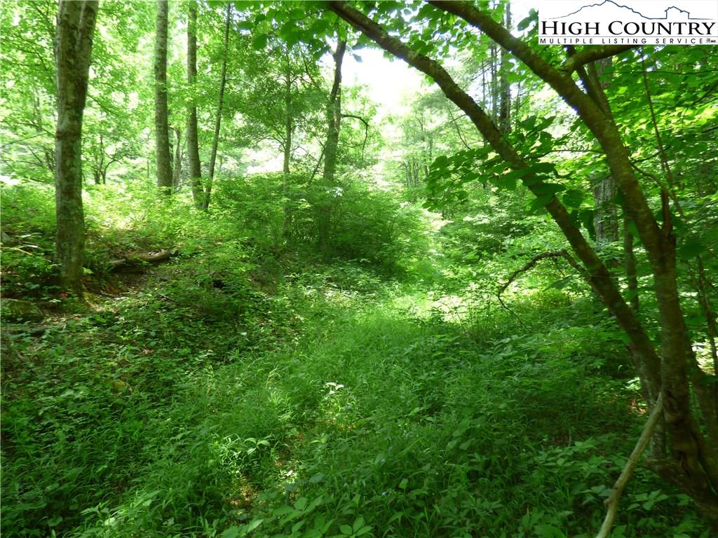 Image number 6 for the current listing
