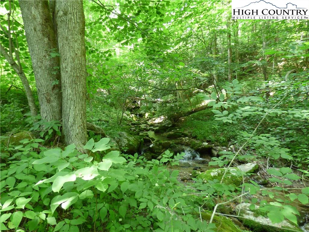 Image number 7 for the current listing