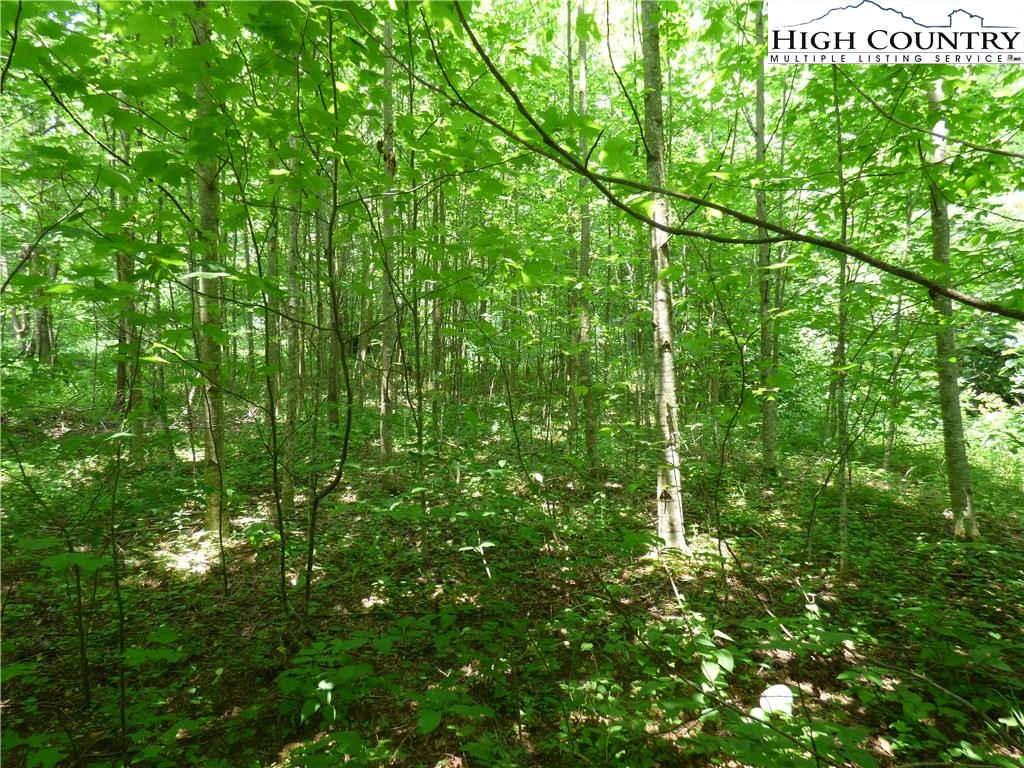 Image number 8 for the current listing