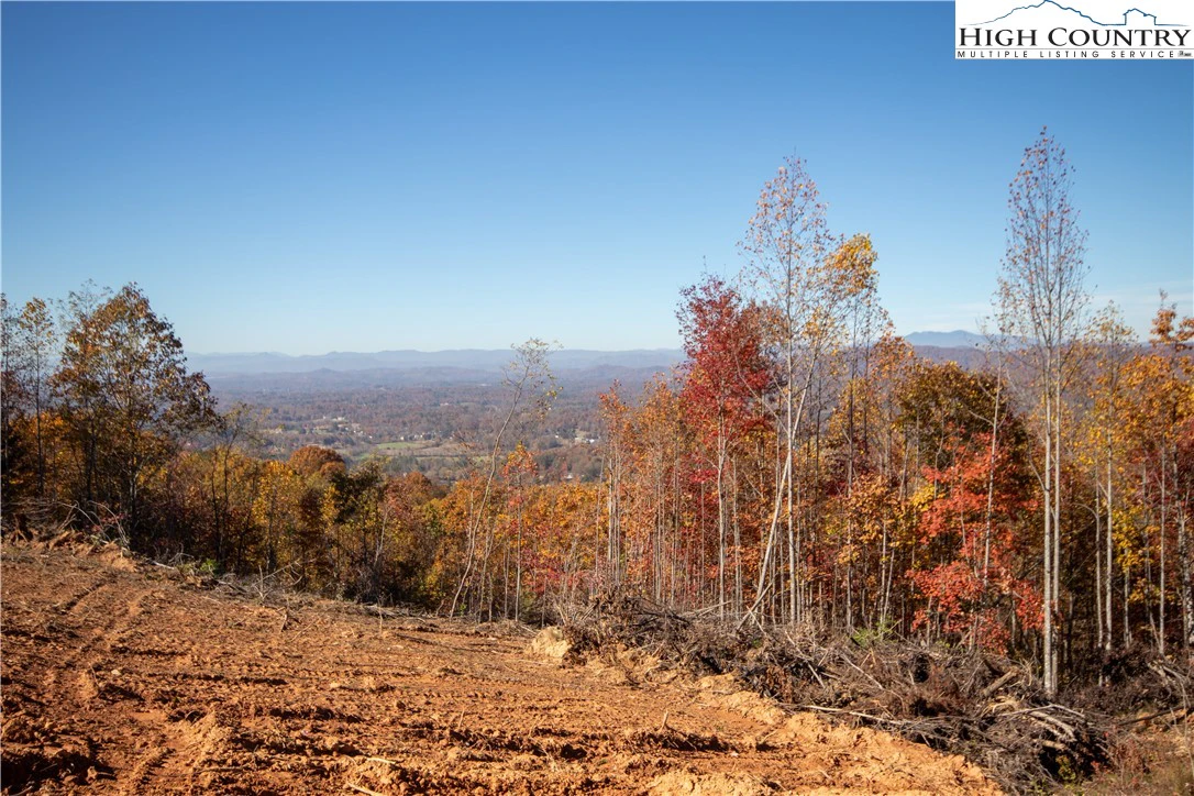 Image number 1 for the current listing