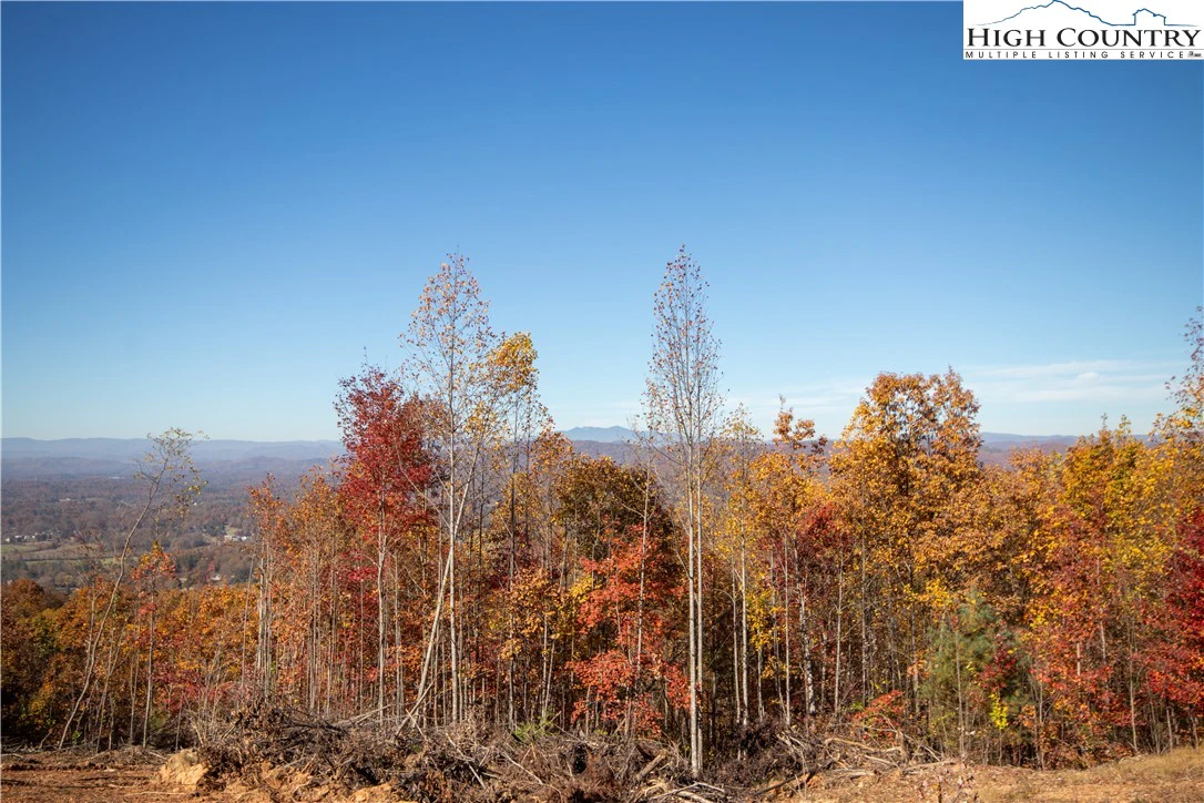 Image number 6 for the current listing