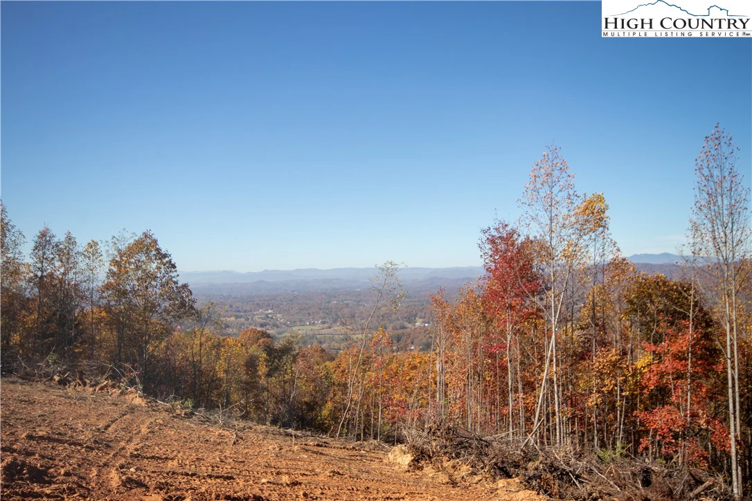 Image number 7 for the current listing
