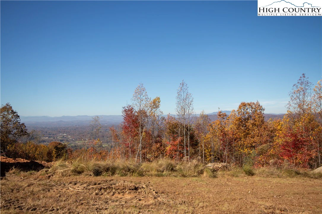 Image number 9 for the current listing
