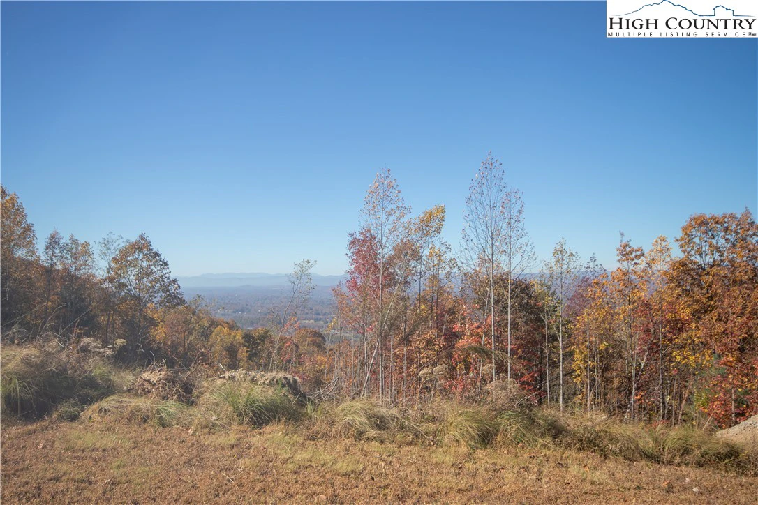 Image number 11 for the current listing