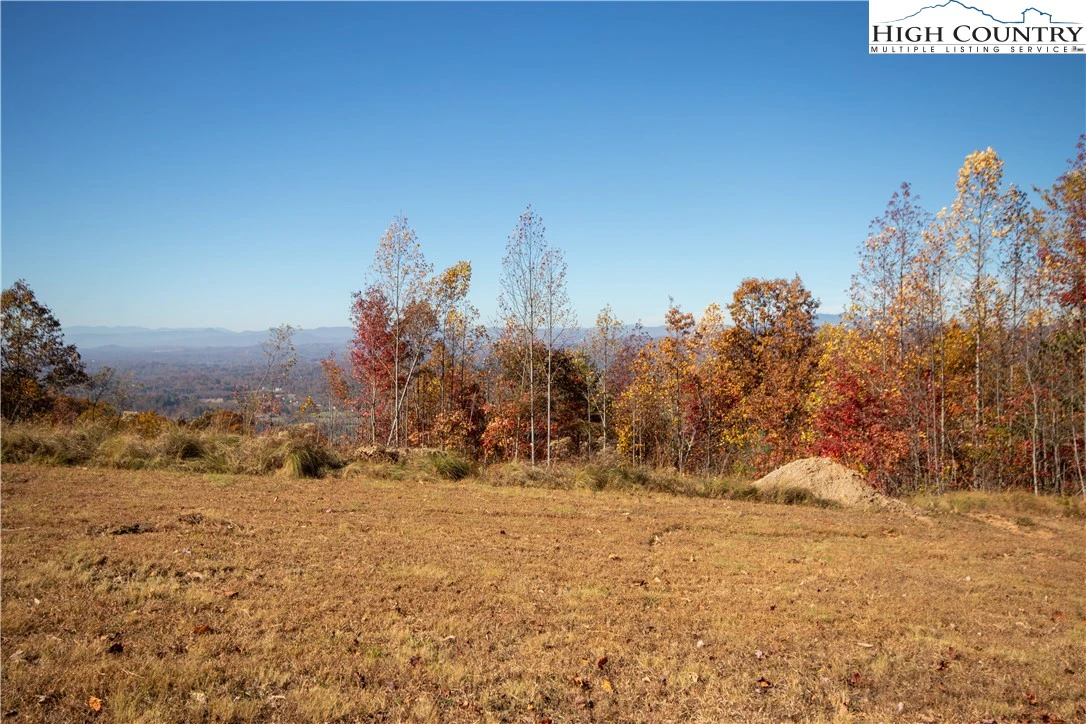 Image number 12 for the current listing