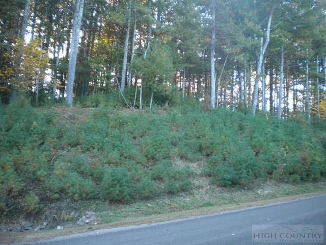 Image number 1 for the current listing