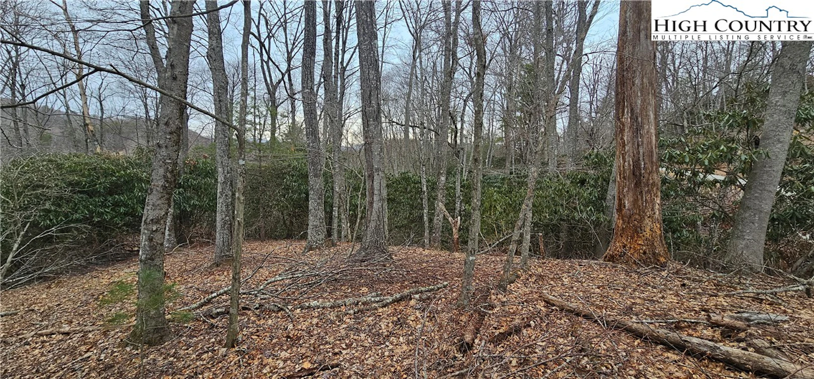 Image number 1 for the current listing